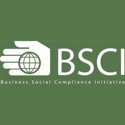 深圳九域企業管理 一站式EICC驗廠咨詢輔導，助力企業合規與卓越