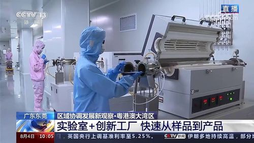 聚焦硬科技轉化 東莞松山湖材料實驗室的創新動能